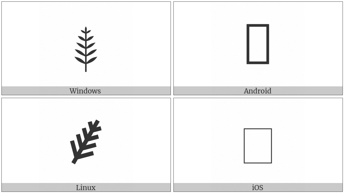 Palm Branch on various operating systems