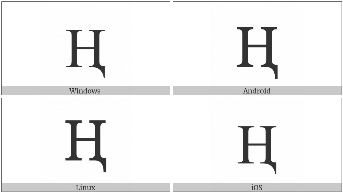 Cyrillic Capital Letter En With Descender on various operating systems