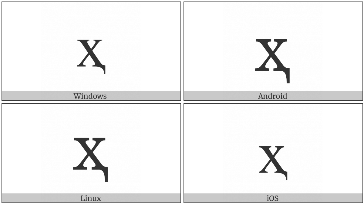 Cyrillic Small Letter Ha With Descender on various operating systems