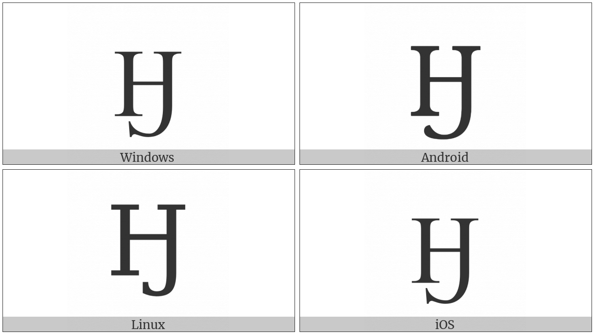 Cyrillic Capital Letter En With Hook on various operating systems