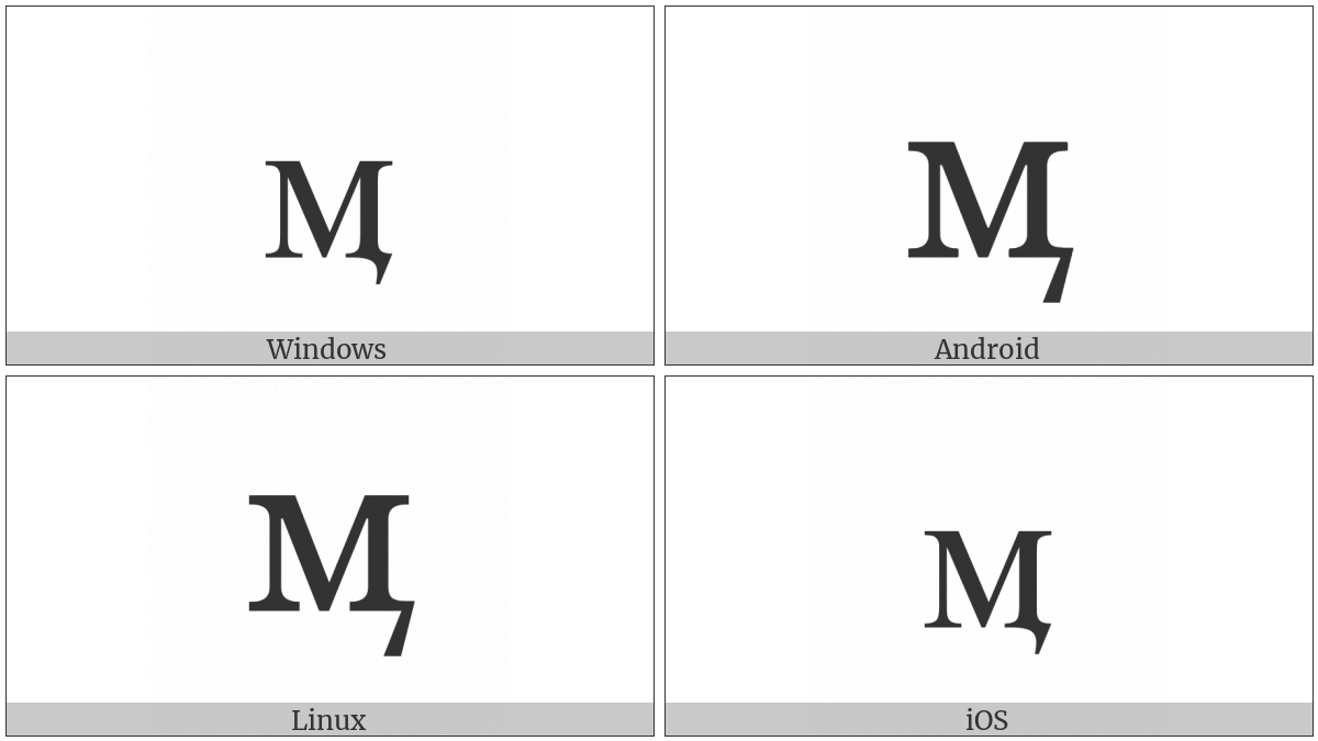 Cyrillic Small Letter Em With Tail on various operating systems