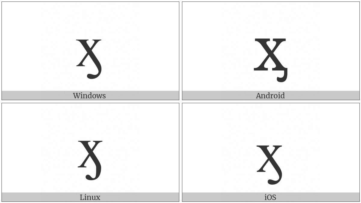 Cyrillic Small Letter Ha With Hook on various operating systems