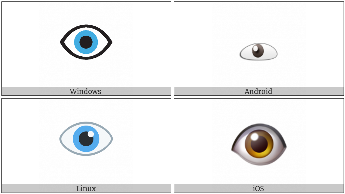 Eye on various operating systems