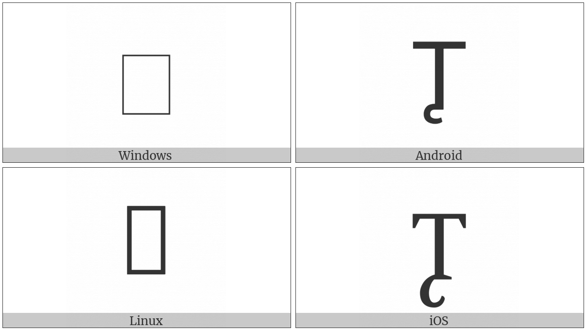 Cyrillic Capital Letter Tsse on various operating systems