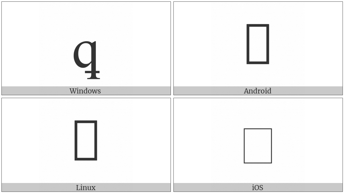 Latin Small Letter Q With Stroke Through Descender on various operating systems