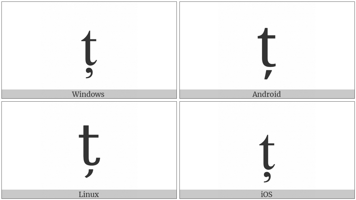 Latin Small Letter T With Comma Below on various operating systems