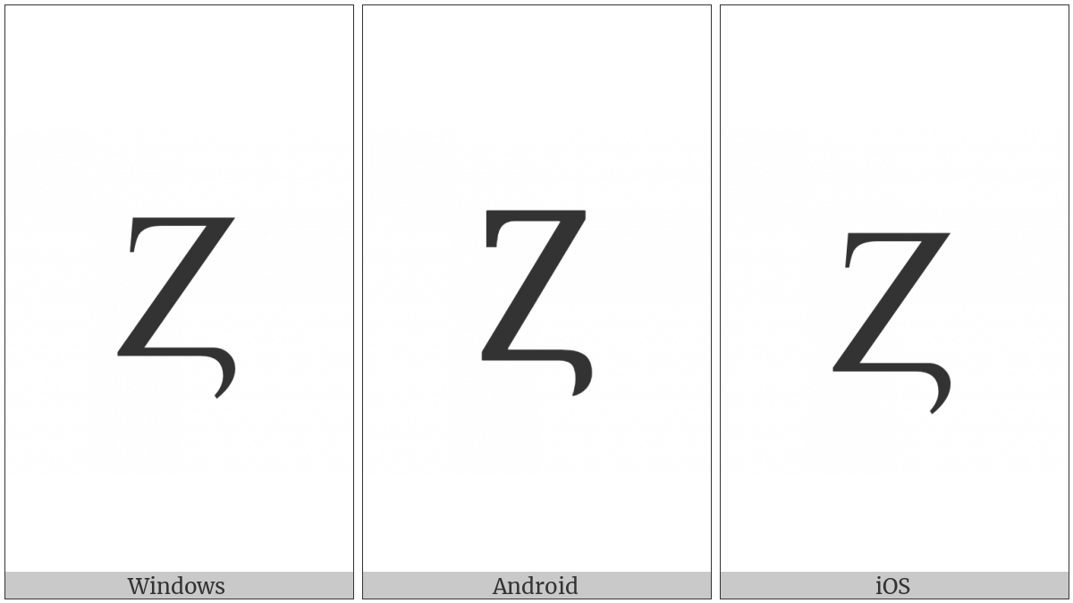 Latin Capital Letter Z With Hook on various operating systems