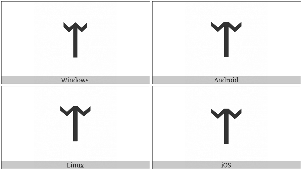 Runic Letter Ear on various operating systems