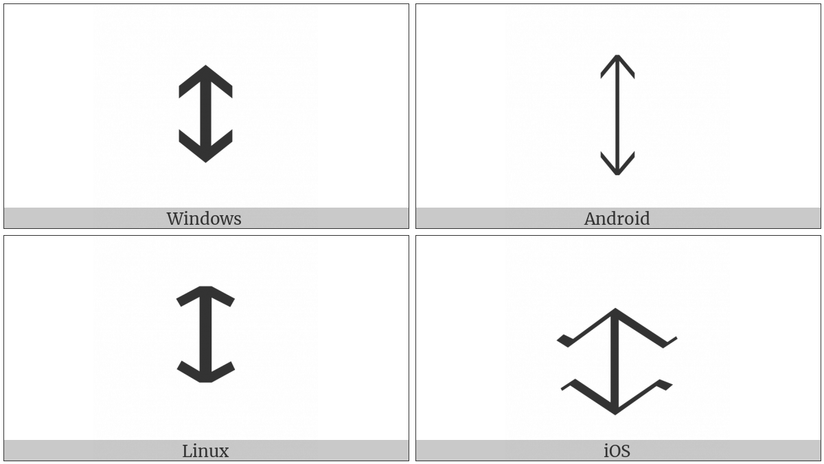 Runic Letter Icelandic-Yr on various operating systems