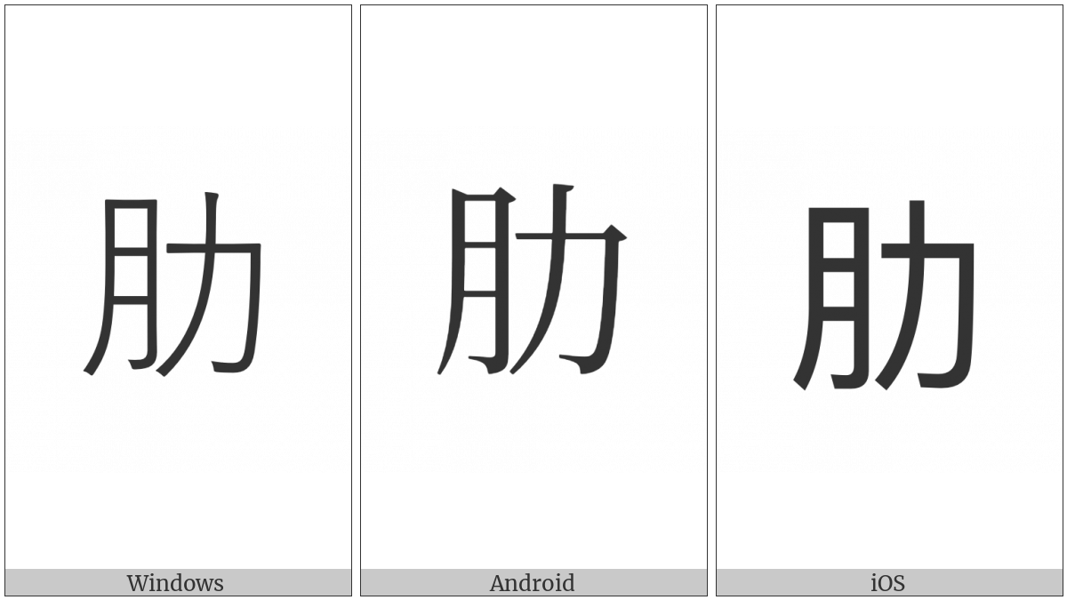 Cjk Compatibility Ideograph-F953 on various operating systems