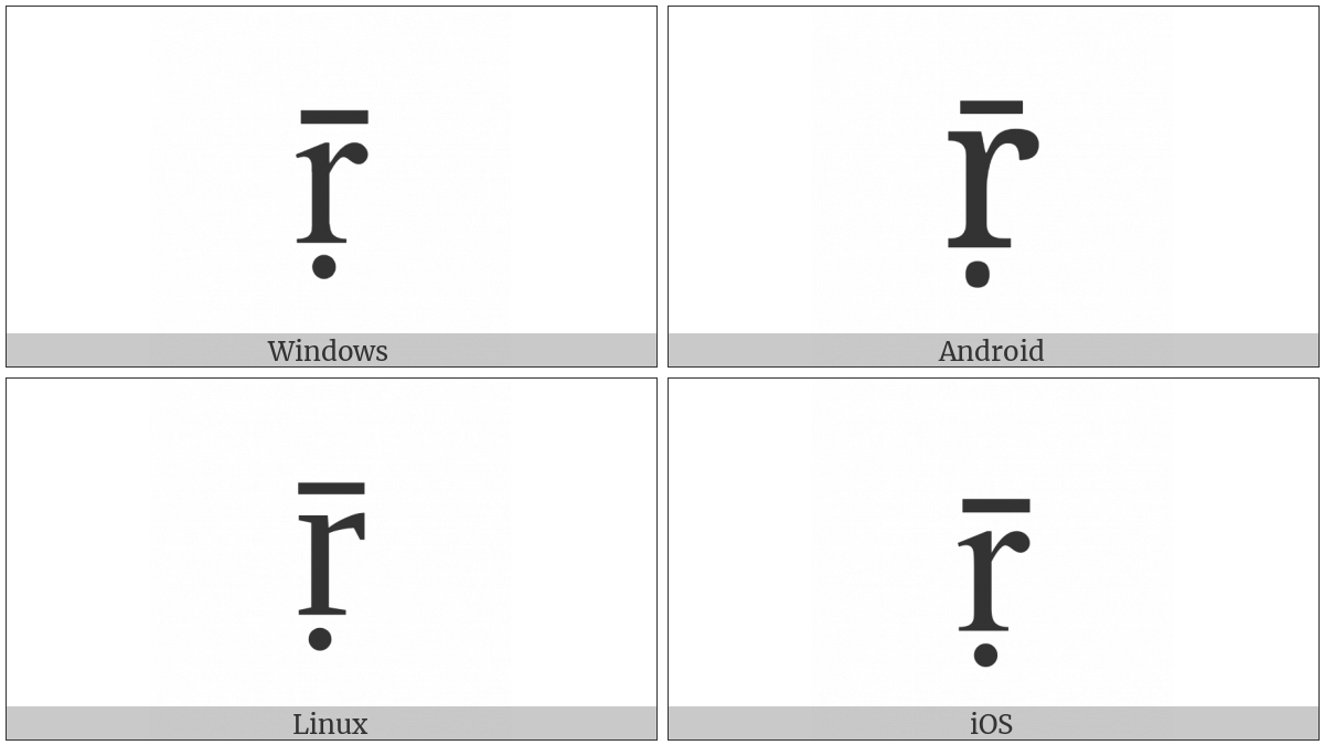 Latin Small Letter R With Dot Below And Macron on various operating systems