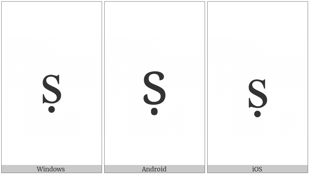 Latin Small Letter S With Dot Below on various operating systems