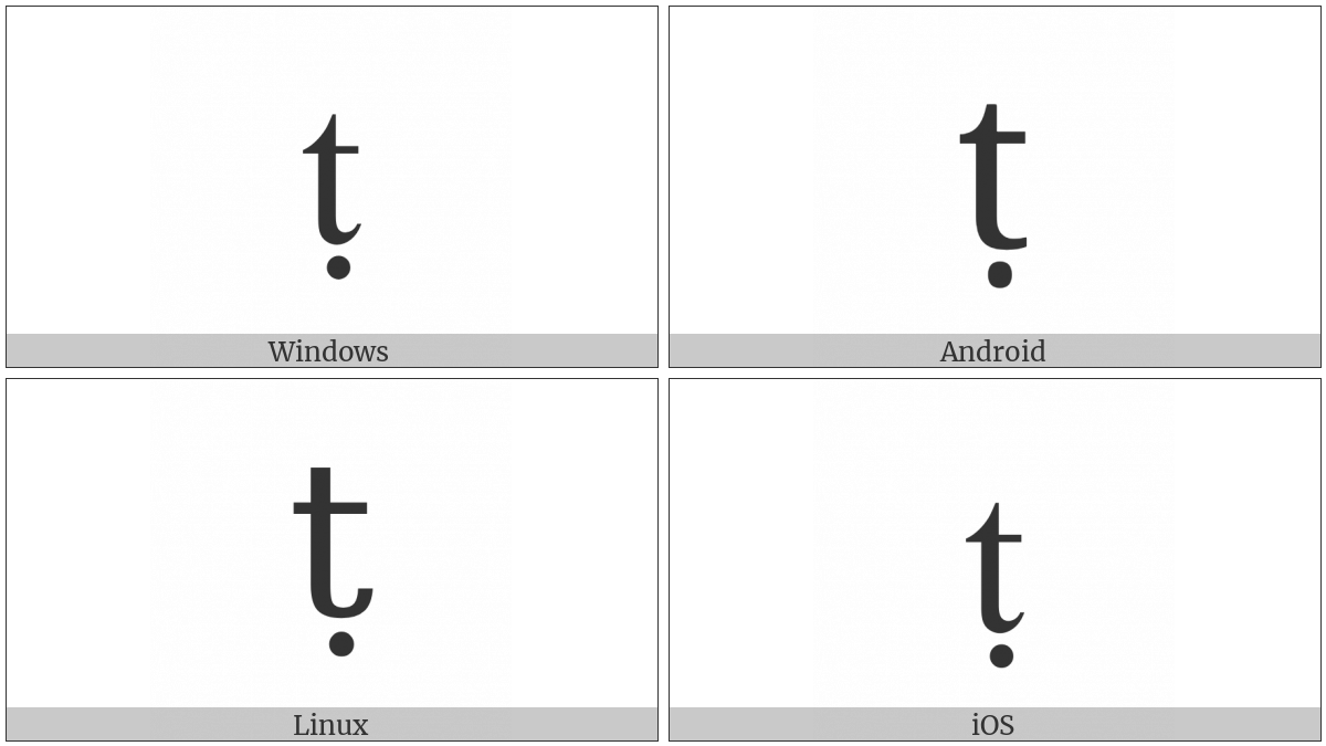 Latin Small Letter T With Dot Below on various operating systems