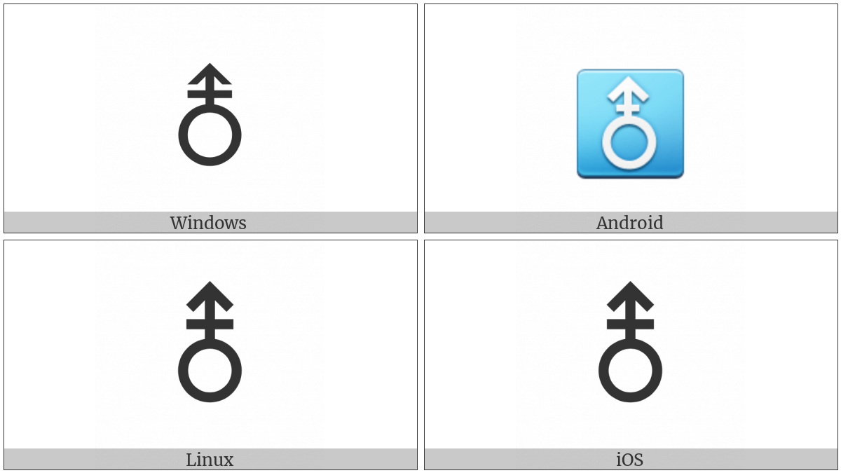 Vertical Male With Stroke Sign on various operating systems